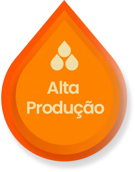 Alta Produção